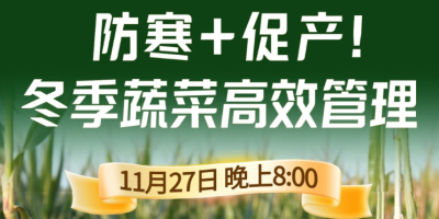 《细说农技》专家张宝林教冬季蔬菜防寒 + 促产高效管理，27 日晚 8 点！