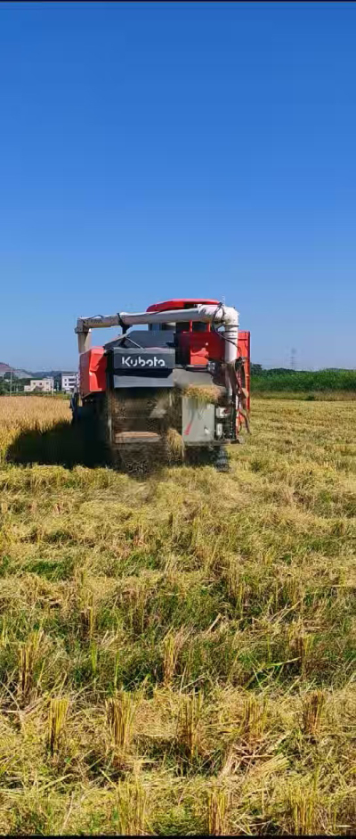 惠州基地，无人拖拉机收水稻了。