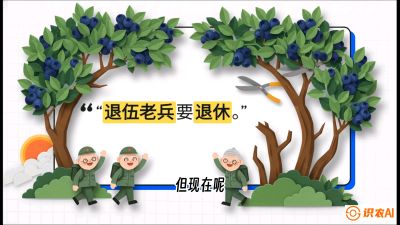 第7节：修剪决定产量（下）&mdash;&mdash;结果树的更新与疏果，课程：《蓝莓&ldquo;高产&rdquo;实战课：从选苗到丰收的10个关键点》