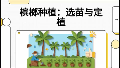 第01节：选苗与定植&mdash;&mdash;&ldquo;苗好一半收，底肥定千秋&rdquo;课程：《槟榔种植：从不懂到精通的10堂必修课》