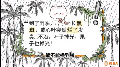 第05节：常见真菌病害&mdash;&mdash;&ldquo;炭疽与烂心，早防值千金&rdquo;《槟榔种植：从不懂到精通的10堂必修课》