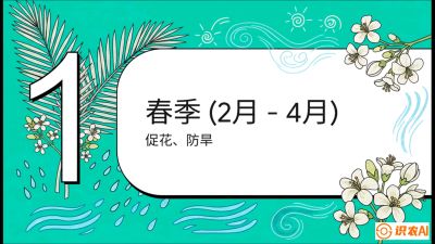 第10节：周年农事日历&mdash;&mdash;&ldquo;跟着节气走，丰产在手头&rdquo;《槟榔种植：从不懂到精通的10堂必修课》