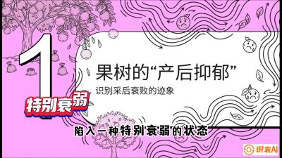 第2节：【冬肥策略】采后&ldquo;月子肥&rdquo;：大小年的精准干预术，课程：《柑橘底肥&ldquo;翻身账&rdquo;：从改土到高产的实战全书》