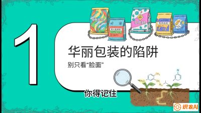 第4节：【黄金配方】底肥里的&ldquo;铁三角&rdquo;与&ldquo;微量雷区&rdquo;课程：《柑橘底肥&ldquo;翻身账&rdquo;：从改土到高产的实战全书》