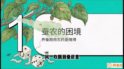 第06节：虫口夺叶（上）&mdash;&mdash;物理与生物防控绝技，课程《桑海淘金：桑树高产与蚕桑安全进阶实战课》