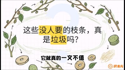 第12节：变废为宝&mdash;&mdash;循环农业实操，课程：《桑海淘金：桑树高产与蚕桑安全进阶实战课》