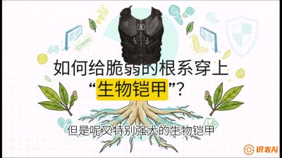 第三节：国产榴莲突围战：根系堡垒，菌根微生态构建与黄金定植窗口，课程：《国产榴莲突围战：从泰国经验到中国实操的8堂必修课（高阶实战版）》