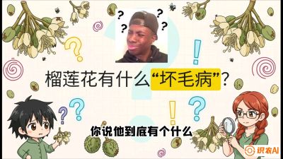 第六节：榴莲的午夜战事，夜间授粉战与花果期避雨策略，课程：《国产榴莲突围战：从泰国经验到中国实操的8堂必修课（高阶实战版）》