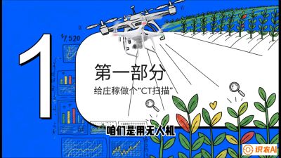 第5节：无人机也能&ldquo;看病抓药&rdquo;&mdash;&mdash;处方图与变量施肥入门，课程：《无人机植保搞钱必修课：从&ldquo;瞎飞&rdquo;到&ldquo;懂行&rdquo;的6步进阶》