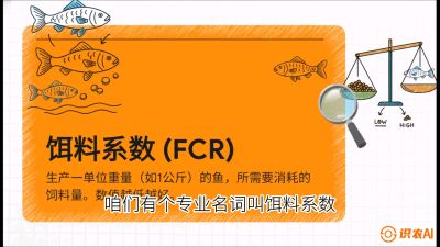 第五节：【高端单品&middot;鳜鱼】&ldquo;饲料鳜&rdquo;技术：打破吃活饵的高成本魔咒，课程：《黄金鳞甲：2025中国淡水鱼高效养殖实战营》