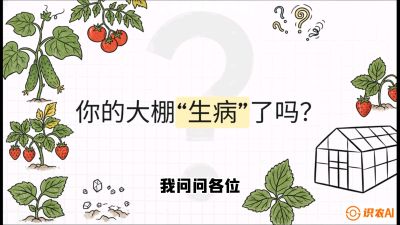 第2节（解毒篇）： 大棚里的&ldquo;红白绿&rdquo;警报&mdash;&mdash;读懂土壤盐渍化的求救信号，课程：《揭秘土壤的秘密：让土地帮你赚钱》#识农AI