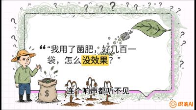 第4节（活化篇）： 土壤里的&ldquo;雇佣兵&rdquo;&mdash;&mdash;如何用菌剂以小博大，解决死棵难题，课程：《揭秘土壤的秘密：让土地帮你赚钱》#识农AI