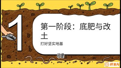 第6节（统筹篇）： 省钱又增产的&ldquo;黄金配比&rdquo;&mdash;&mdash;不同作物全年的养土实操方案，课程：《揭秘土壤的秘密：让土地帮你赚钱》#识农AI
