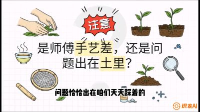 第02节（土肥篇）：告别&ldquo;苦涩水味&rdquo;：揭秘&ldquo;碳氮比&rdquo;调控术，种出自带兰花香的好茶底，课程：《茶金时代：从&ldquo;看天吃饭&rdquo;到&ldquo;精准控局&rdquo;的茶叶高产提质实战课》