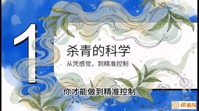 第05节（加工篇）：决胜2分钟：用&ldquo;数字温控&rdquo;破解杀青不匀，复刻大师级手工口感，课程：《茶金时代：从&ldquo;看天吃饭&rdquo;到&ldquo;精准控局&rdquo;的茶叶高产提质实战课》