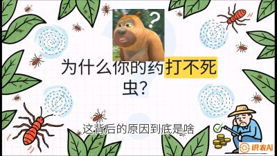 第4节：【虫害歼灭战】打不死的蓟马、隐形的茶黄螨：抗性时代的&ldquo;混配绝杀&rdquo;，课程：《辣椒种植实战特训营，从工业辣椒到精品小米辣，教你如何把&ldquo;草&rdquo;种成&ldquo;金&rdquo;》