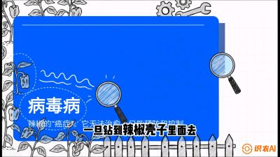 第5节：【病毒病阻击】辣椒的&ldquo;癌症&rdquo;怎么治？从&ldquo;绝收恐慌&rdquo;到&ldquo;带毒生产&rdquo;的逆转术，课程：《辣椒种植实战特训营，从工业辣椒到精品小米辣，教你如何把&ldquo;草&rdquo;种成&ldquo;金&rdquo;》