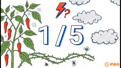 第6节：【花果爆发术】落花落果的五大元凶，与&ldquo;三喷一保&rdquo;坐果黑科技，课程：《辣椒种植实战特训营，从工业辣椒到精品小米辣，教你如何把&ldquo;草&rdquo;种成&ldquo;金&rdquo;》