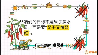 第7节：【工业辣椒专场】追求极致辣度！干物质提升与机械化采收的&ldquo;催红秘籍&rdquo;，课程：《辣椒种植实战特训营，从工业辣椒到精品小米辣，教你如何把&ldquo;草&rdquo;种成&ldquo;金&rdquo;》