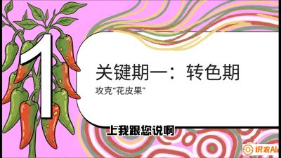 第8节：【小米辣线椒专场】颜值即正义！防花皮、防炭疽，打造收购商抢着要的&ldquo;精品果&rdquo;，课程：《辣椒种植实战特训营，从工业辣椒到精品小米辣，教你如何把&ldquo;草&rdquo;种成&ldquo;金&rdquo;》