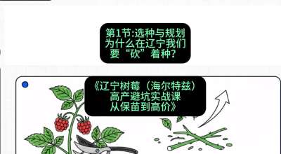 第一节： 选种与规划&mdash;&mdash;为什么在辽宁我们要&ldquo;砍&rdquo;着种？，课程：《辽宁树莓（海尔特兹）高产避坑实战课：从保苗到高价》