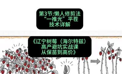 第三节： 懒人修剪法&mdash;&mdash;&ldquo;一推光&rdquo;平茬技术详解，课程：《辽宁树莓（海尔特兹）高产避坑实战课：从保苗到高价》