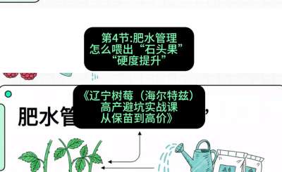 第四节： 肥水管理&mdash;&mdash;怎么喂出&ldquo;石头果&rdquo;（硬度提升），课程：《辽宁树莓（海尔特兹）高产避坑实战课：从保苗到高价》