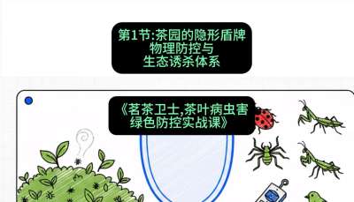 第01节：茶园的&ldquo;隐形盾牌&rdquo;&mdash;&mdash;物理防控与生态诱杀体系，课程：《茗茶卫士&mdash;&mdash;茶叶病虫害绿色防控实战课》#识农AI