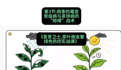 第03节：雨季的霉变&mdash;&mdash;炭疽病与茶饼病的&ldquo;抢晴&rdquo;战术，课程：《茗茶卫士&mdash;&mdash;茶叶病虫害绿色防控实战课》#识农AI