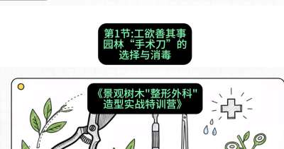 第01节：工欲善其事&mdash;&mdash;园林&ldquo;手术刀&rdquo;的选择与消毒，课程：《景观树木&ldquo;整形外科&rdquo;造型实战特训营》#识农AI