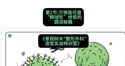 第02节：万物皆可盘&mdash;&mdash;&ldquo;精球形&rdquo;修剪的圆润秘籍，课程：《景观树木&ldquo;整形外科&rdquo;造型实战特训营》#识农AI