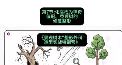 第07节：化腐朽为神奇&mdash;&mdash;偏冠、秃顶树的修复整形，课程：《景观树木&ldquo;整形外科&rdquo;造型实战特训营》#识农AI