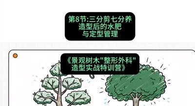第08节：三分剪七分养&mdash;&mdash;造型后的水肥与定型管理，课程：《景观树木&ldquo;整形外科&rdquo;造型实战特训营》#识农AI