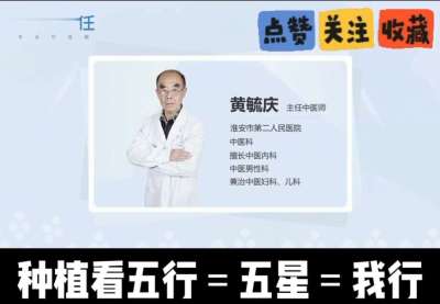 中药材淫羊藿怎么种？听专家一次讲明白！不挑地块好管理，耐寒耐旱省心省力，新手也能轻松上手，药用价值高、市场需求稳，妥妥的增收好品种～ 从生长习性到采收要点，干货满满无废话，种植疑问直接问，一对一答疑解